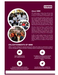 IIMMI brochure page 2
