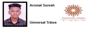 IIMMI placement record